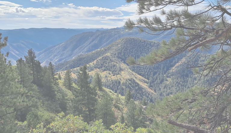 Honoring an End-of-Life Champion, Dr. Charlie Hamlin